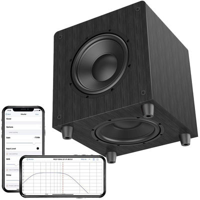 12 นิ้ว 10 นิ้ว Subwoofer ห้องหนัง 500 วัตต์